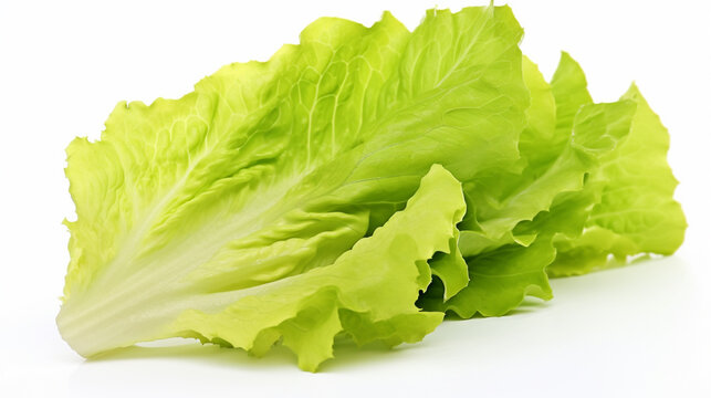 Set with leaves of butter lettuce isolated on white. Generative Ai