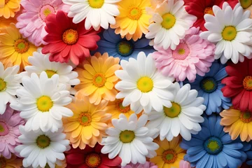 Schilderijen op glas 3d wallpaper with colorful daisy flowers © Tarun