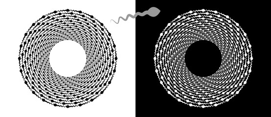 Modern abstract background. Spermatozoons in circle form. Round logo. Design element or icon. Black shape on a white background and the same white shape on the black side.