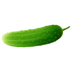 Green cucumber. Image of a ripe green cucumber. Fresh vegetarian product. Realistic 3d vector illustration isolated on a white background