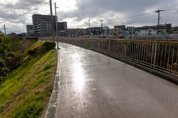 Fototapeta na wymiar 雨上がりの糸田川遊歩道【2024年1月撮影】