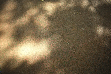 piso de ciclovia com sombras