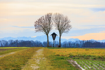 a field path near Graben near Augsburg leads to a wayside cross under a cloudy sky with the Alps in the background - obrazy, fototapety, plakaty