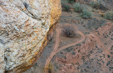 The road around the tree at the bottom of the canyon, Canyon de Chelly National Monument, Arizona