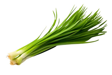 Green onion isolated on PNG background