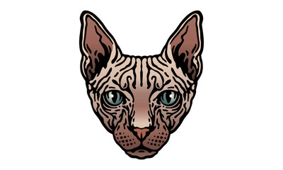 Sphynx_Cat_on_white_background