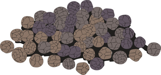 Black pepper isolated on white background