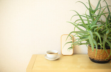 Potted aloe vera houseplant, cup of tea and small mirror on dresser against beige wall