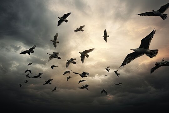 Flying seagulls against the sunset sky. Collage, AI Generated