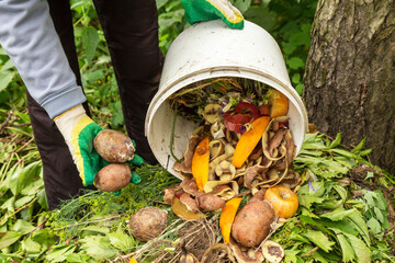 Compost heap pile with bio waste. Farmer gardener hands put vegetable fruit scraps from bucket in...
