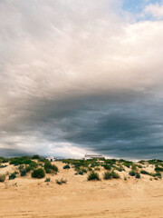 Landscape moody photo of sand dunes and coastal seascape with beach building in distance