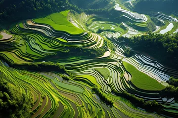 Photo sur Plexiglas Mu Cang Chai Aerial view of green rice terraces in Mu Cang Chai, YenBai, Vietnam, AI Generated