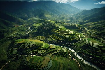 Aerial view of terraced rice field in Sapa, Vietnam, AI Generated