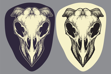 cow skull vector illustration in black white hand drawing