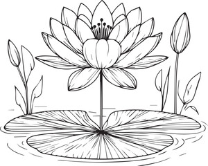 black and white water lily drawing, sketch water lily drawing, hand drawn sketch water lily drawing, lily pad water lily drawing, simple lily pad drawing, water lily home wall art