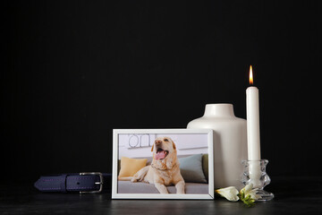 Obraz na płótnie Canvas Frame with picture of dog, collar, burning candle and mortuary urn on dark background. Pet funeral