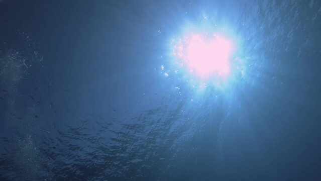 bottom to top look up view to the surface of ocean with sunlight hue 
 sun reflection light underwater and beam ray beautiful with slight bubble coming up