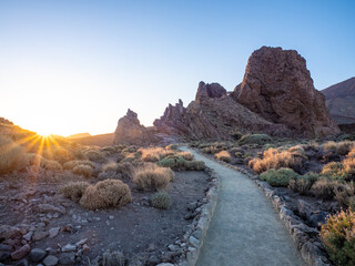 Obraz premium Landscape of Teide National Park