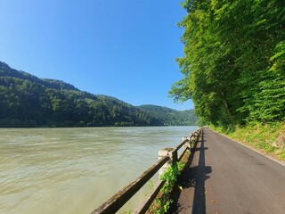 Amazing bike path near river on a sunny day in austria. Famous Donauradweg next to beautiful danube river in austria. Copy space for text.
