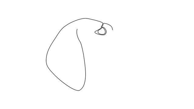 Self drawing animation with one continuous line draw,The dog's head is a dachshund
