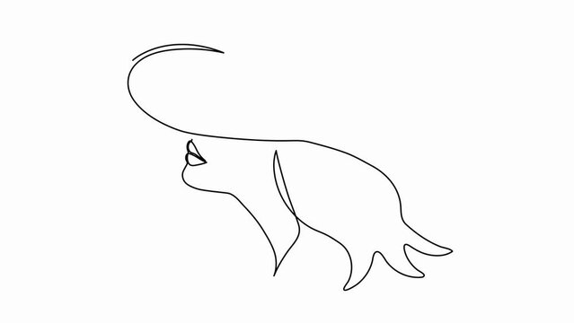 Self drawing animation with one continuous line draw,
the logo of the girl in the hat