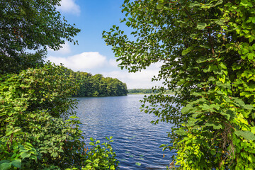 Seeblick mit Bäumen in der Stadt Zarrentin am Schaalsee