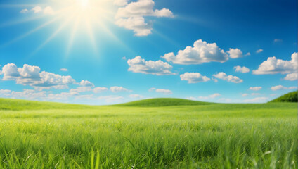 field and blue sky Wide format grass background, Neatly trimmed grass carpet photos, Beautiful grass texture images, Bright green mowed lawn visuals, Green grass field stock photos