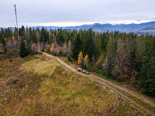 Fototapeta na wymiar Carriage with horses rides through a dark autumn forest. Ukrainian village. Carpathian Mountains from above. Top cinematic aerial view.