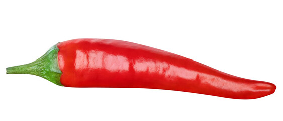 Spicy Chili pepper isolated on white or transparent background. One hot red chilli pepper.