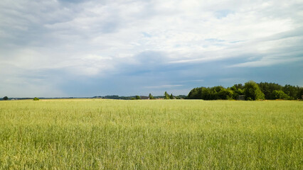 A field in Kashubia.