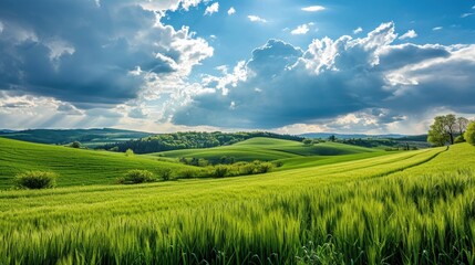 A Field of Green Grass Under a Cloudy Sky