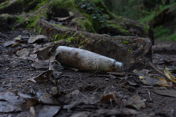 Basura en el bosque, botella de cristal tirada en el bosque