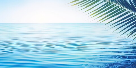 Fototapeta na wymiar palm leaf isolated on sunny blue rippled water surface, summer beach holidays background concept with copy space