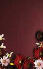 Obraz premium Flat lay of beautiful flowers arrangement on a dark red background