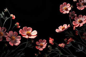 premium floral background with pink flowers on black background