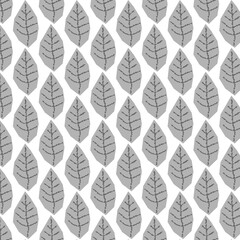 Gray texture of gray abstract leaves on a white background.