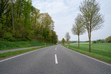 Road in the landscape with trees and grass