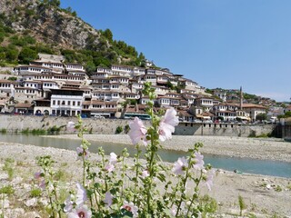Panoramic view of old Ottoman houses in old town of Berat, UNESCO World Heritage, Albania.