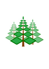 Christmas tree, x-mas, christmas, celebration, forest, tree, nature, holidays, decoration, 