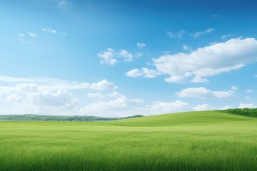 Fototapeta na wymiar Green field and blue sky with white clouds. Nature background. Copy space. 