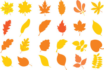 Isolated color autumn leaves. Set of yellow leaves. Autumn design element. Editable Vector illustration for designing seasonal greeting card, poster or banner. eps 10.