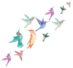 Hummingbirds of different sizes and different colors fly in the wind. Vector image for postcard, design, banner, website.