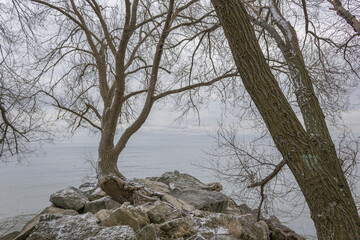Fototapeta premium Nature around Lake Ontario in Etobicoke