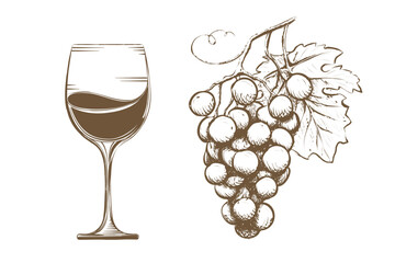 Glass with wine and grapevine in sketch style. Isolated on a white background. Stock vector illustration - obrazy, fototapety, plakaty