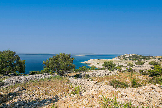 Steiniger Boden mit B&uuml;schen am Meer, mit blauem Himmel im Sommer