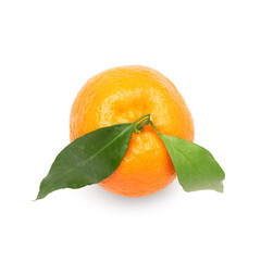 Fresh tangerine with green leaves on white background