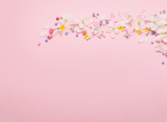 spring flowers on pink background
