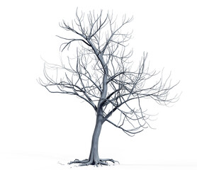 Isolated tree without leaf on white background with clipping, 3D illustration rendering