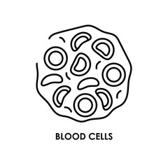 Blood cells color line icon. Microorganisms microbes, bacteria.