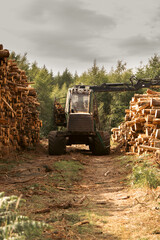 Industrial machinery moving cut logs at Ilton, England.